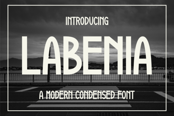 Labenia: A Bold Sans Serif Font for Modern Branding