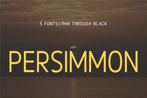 Persimmon: A Versatile Sans Serif Font for Brands