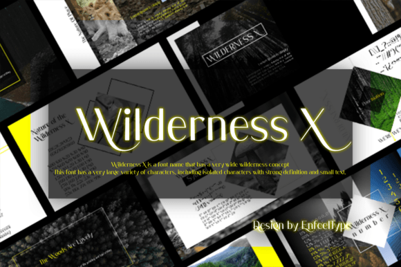 Wilderness X: A Bold Sans Serif Font for Editorial Design and Digital Publishing